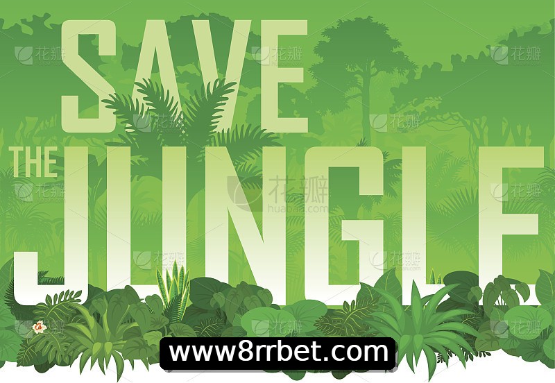 Integração de APIs rrbet